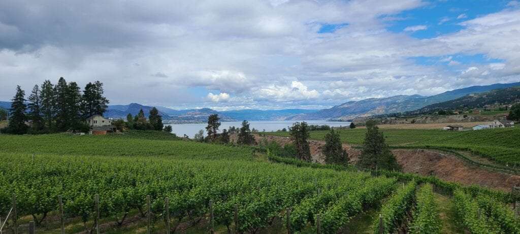 Naramata Bench KVR Trail Digital Marketing In The Okanagan